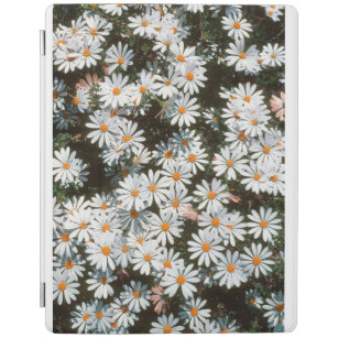 Verwirrtheit der weißen Sterne (Asteraceae) iPad Hülle