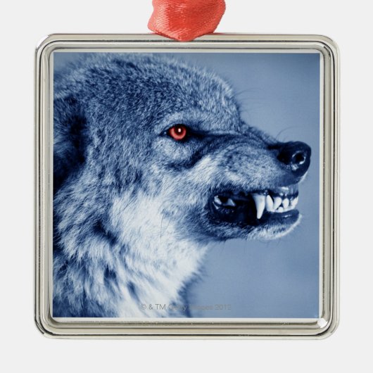 Verwirrungswolf (CanisLupus), Profil (Digital Silbernes Ornament (Vorne)