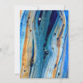 verwitterte blaue Stallplatten (Vorderseite)