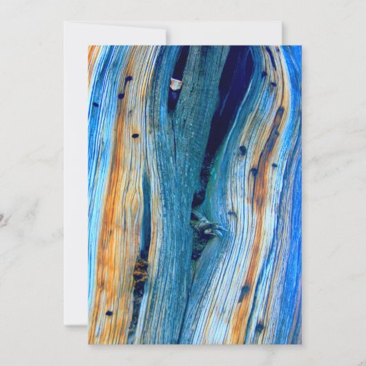 verwitterte blaue Stallplatten (Vorderseite)