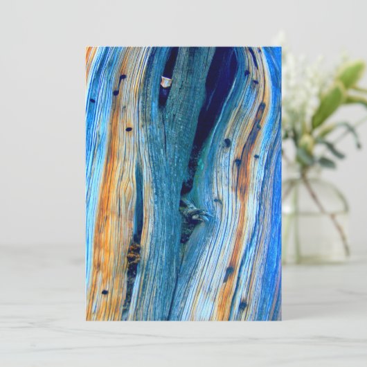 verwitterte blaue Stallplatten (Stehend Vorderseite)