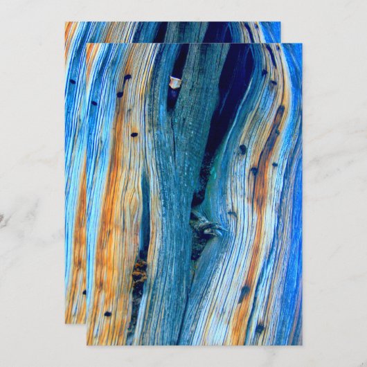 verwitterte blaue Stallplatten (Vorne/Hinten)