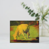 Verwitterte Weide Postkarte (Stehend Vorderseite)
