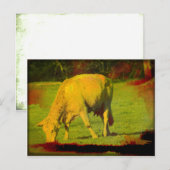 Verwitterte Weide Postkarte (Vorne/Hinten)