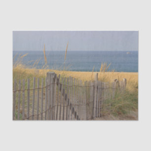 Verwitterter Strandzaun und Dünengras am Strand Seidenpapier