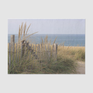 Verwitterter Strandzaun und Dünengras am Strand Seidenpapier