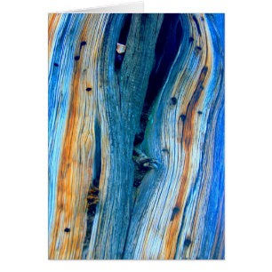 verwittertes blaues Schrankbrett