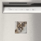 Verwöhnter Chihuahua entspannt sich Magnet (In Situ (Geschirrspüler))