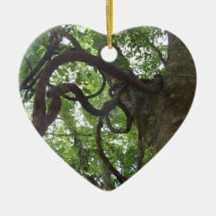 verworrene alte Weinreben in Bäumen Keramik Ornament