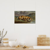 Verwundete Löwen Poster (Küche)