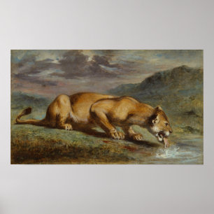 Verwundete Löwen Poster