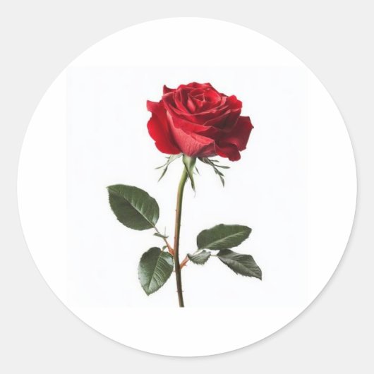 Very beautiful, 👍 nice design  runder aufkleber (Vorderseite)