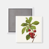 'Very Cherry' Magnet (Vorderseite/Rückseite)