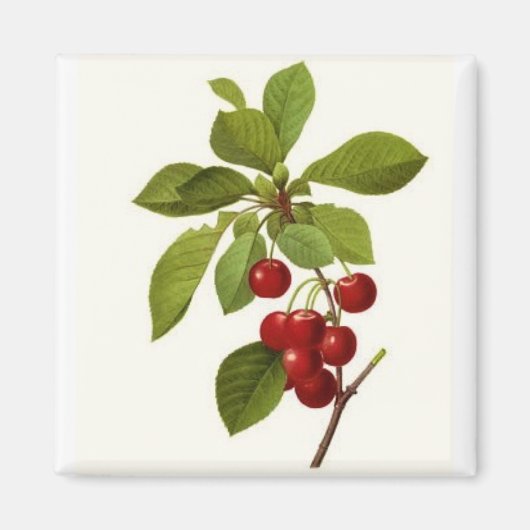 'Very Cherry' Magnet (Vorne)