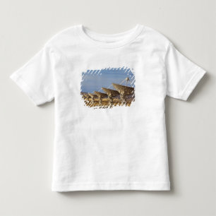 Very Large Array oder National Radio Astronomy Kleinkind T-shirt