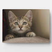 Very Sweet Tabby Kitten Fotoplatte (Vorderseite)