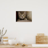 Very Sweet Tabby Kitten Poster (Küche)