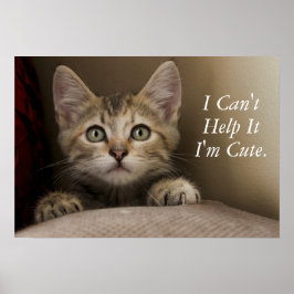 Very Sweet Tabby Kitten Poster
