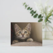 Very Sweet Tabby Kitten Postkarte (Stehend Vorderseite)