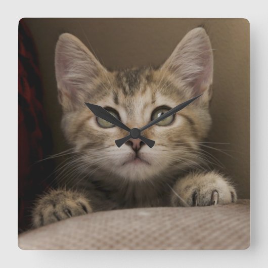 Very Sweet Tabby Kitten Quadratische Wanduhr (Vorderseite)