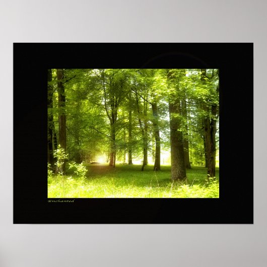 verzaubert poster (Vorne)