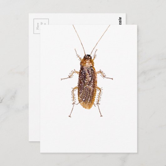 VERZAUBERT ROACH POSTKARTE (Vorne/Hinten)