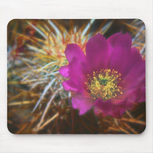Verzauberte Blüte Mousepad (Vorne)