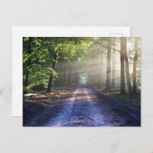 Verzauberte Forststraße 2 Postkarte (Vorne/Hinten)