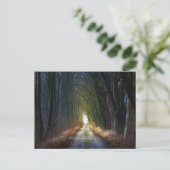 Verzauberte Forststraße 3 Postkarte (Stehend Vorderseite)