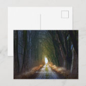 Verzauberte Forststraße 3 Postkarte (Vorne/Hinten)