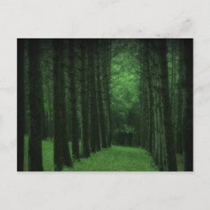 Verzauberte Waldpostkarte Postkarte