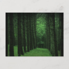 Verzauberte Waldpostkarte Postkarte