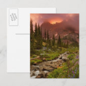 Verzauberte Wiesen Postkarte (Vorne/Hinten)