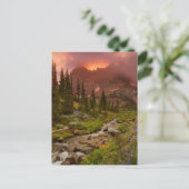 Verzauberte Wiesen Postkarte (Stehend Vorderseite)