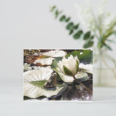 Verzauberter Frosch Postkarte (Stehend Vorderseite)