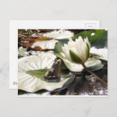 Verzauberter Frosch Postkarte (Vorne/Hinten)