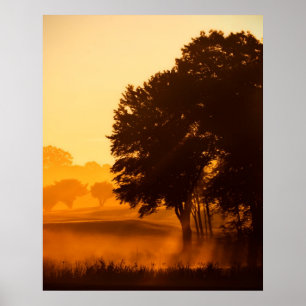 Verzauberter Morgen Poster