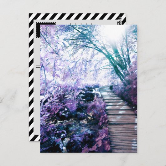 verzauberter Pfad Postkarte (Vorne/Hinten)