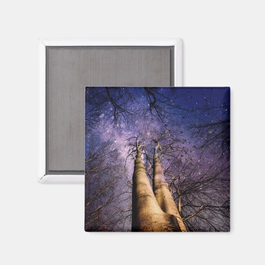 verzauberter Wald Magnet (Vorderseite/Rückseite)