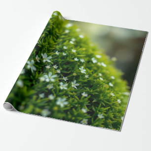 Verzauberter Wald Moos Frühling Geschenkpapier