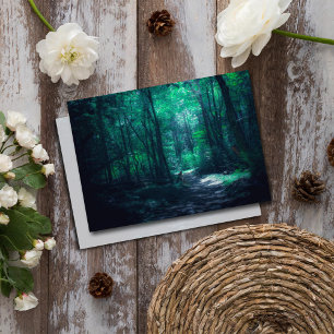 Verzauberter Wald Mystischer Forst Naturfoto Mitteilungskarte