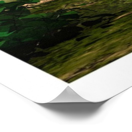 verzauberter Wald Poster (Ecke)