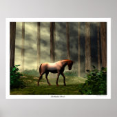 verzauberter Wald Poster (Vorne)