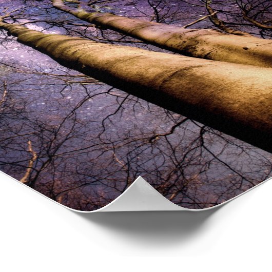 verzauberter Wald Poster (Ecke)