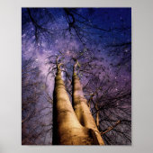 verzauberter Wald Poster (Vorne)