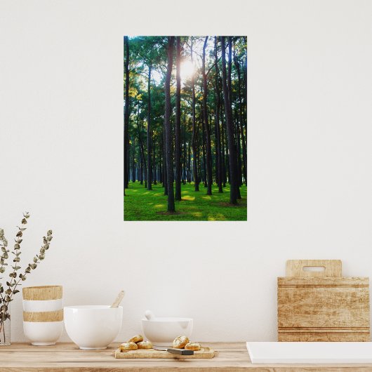 verzauberter Wald Poster (Küche)