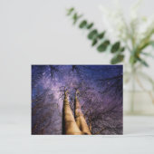 verzauberter Wald Postkarte (Stehend Vorderseite)