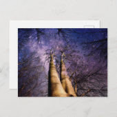 verzauberter Wald Postkarte (Vorne/Hinten)
