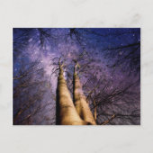 verzauberter Wald Postkarte (Vorderseite)