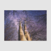 verzauberter Wald Seidenpapier (Vorderseite)